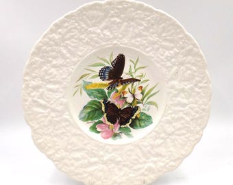 1962 ROYAL CAULDON-BRISTOL England, Luncheon Plate, Schmetterlinge der Welt, 23 cm