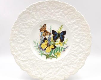 1962 ROYAL CAULDON-BRISTOL England, Luncheon Plate, Schmetterlinge der Welt, 23 cm