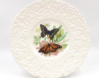 1962 ROYAL CAULDON-BRISTOL England, Luncheon Plate, Schmetterlinge der Welt, 23 cm