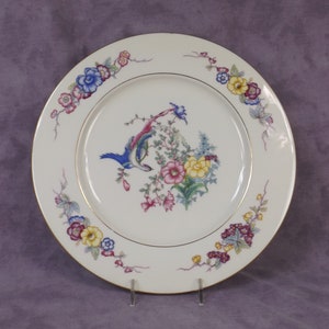 CASTLETON Venetian Pattern Dinner Plate