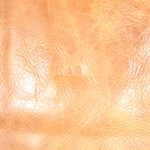May include: Close-up of a section of leather. A central tan panel with a textured surface and the embossed letters "KAR" is bordered by darker, grey-brown leather with white stitching. The leather has a worn appearance.