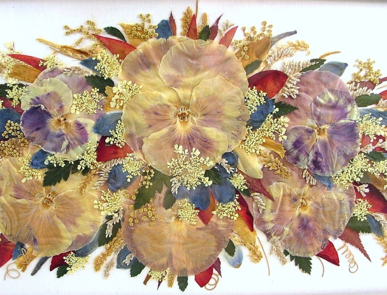 Pressed Flowers Under Glass Framed Art Collage Pansies Etsy