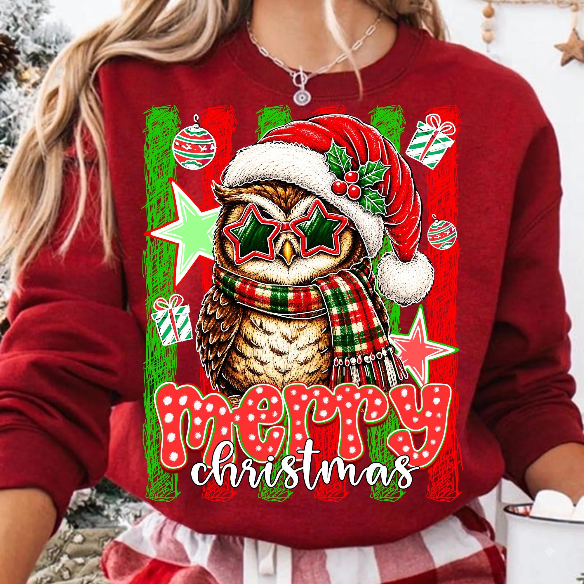 Merry Christmas Owl PNG, Retro Christmas Owl Star Glasses, Red Green Holiday Sublimation PNG, Festiv