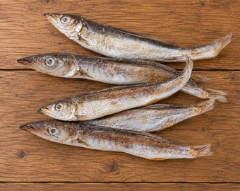 Oven Dried Salted Barracuda Fish Cubes, Jeelawa Karawala, Traditional Seafood for Cooking and Recipes