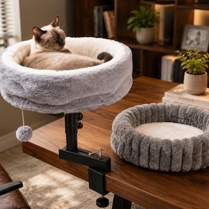May include: A light gray, plush, circular cat bed mounted on a black metal clamp stand with a hanging pom-pom toy, featuring a Siamese cat resting inside. A second, separate, matching gray and white circular plush cat bed sits on the table surface.