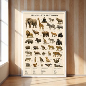May include: A rectangular educational poster titled Mammals of the World featuring a cream background with numerous detailed illustrations of various animals including an elephant, giraffe, zebra, lion, and tiger, organized with text labels.