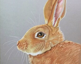 Print - Hunny Bunny #4