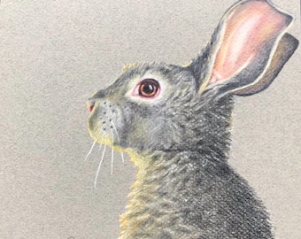 Print - Hunny Bunny #1