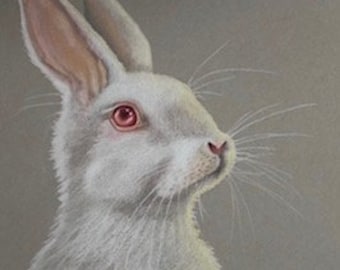 Print - Hunny Bunny #2