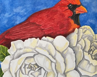 Op de afbeelding: Waterverfschilderij van een felrode kardinaal die bovenop witte bloemen met gele centra zit, tegen een blauwe achtergrond. Het kunstwerk is gesigneerd met "Mark Allison Ballard 2023".