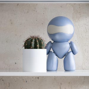 Può includere: Una statuetta blu a forma di robot con una visiera bianca è accanto a un cactus in vaso su una mensola bianca. Il cactus è verde scuro con spine appuntite e il vaso è un semplice cilindro bianco. I libri sono visibili sullo scaffale sopra.