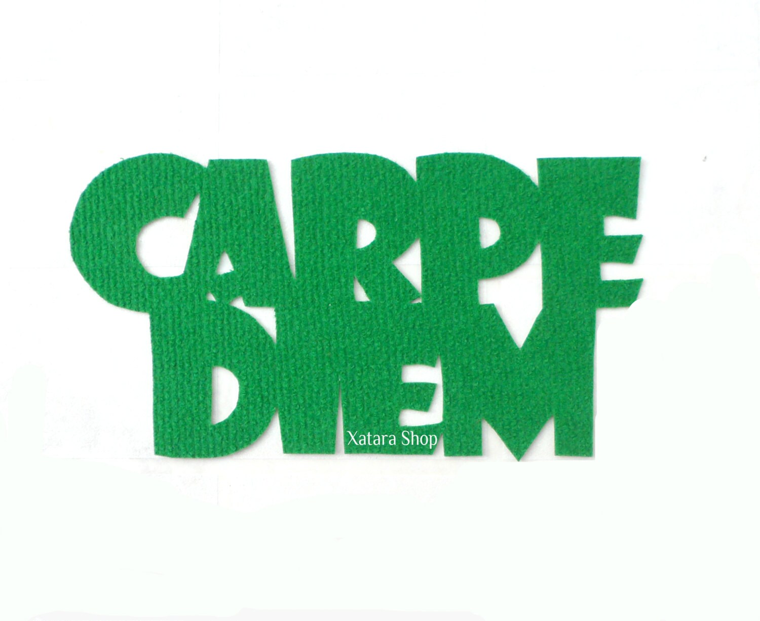 Carpe Diem Slim Custom Doormat. Cool Mat. Design Etsy