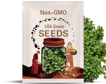 Chocolate Mint Seeds: Perennial Herb for Container Gardens (65pcs) (Smells like Choc.)