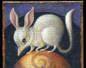 Australian animal fantasy art print, Listen: a cute bilby atop a planet. Endangered species, nocturnal marsupial. Nature lover gift, rescue