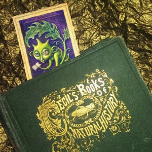 May include: A green book with gold lettering that reads "Cecil's Books of Natural History". A bookmark with a cartoon illustration of a green creature with large eyes is sticking out of the book.