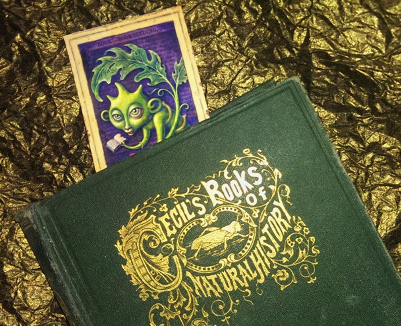 May include: A green book with gold lettering that reads "Cecil's Books of Natural History". A bookmark with a cartoon illustration of a green creature with large eyes is sticking out of the book.