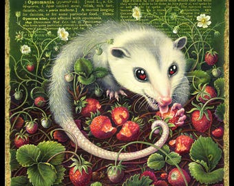 Opossum Opsomaniac: animal art print. A strawberry-crazy possum in a garden bed, greedily gobbling berries.