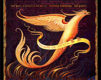 Phoenix art print, Fulgor: A phoenix rising from the ashes. Get well gift, fantasy art, encouragement gift, sympathy, inspiration, survivor