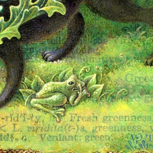 May include: A green frog sits on a bed of green leaves with a black cat's paw in the background. The text "Fresh greenness, <L. viridita(t)s, greenness, ids, c. Verdant: green" is visible in the image.