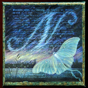 Night sky art print, Noctilucent: A delicate luna moth and dreamy clouds create a magical dark landscape. Fantasy art, surreal oddities image 1