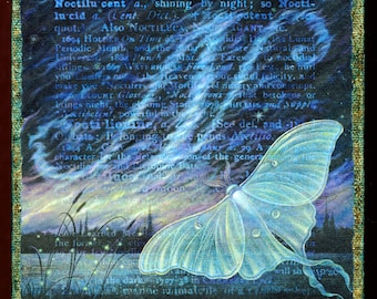 Night sky art print, Noctilucent: A delicate luna moth and dreamy clouds create a magical dark landscape. Fantasy art, surreal oddities