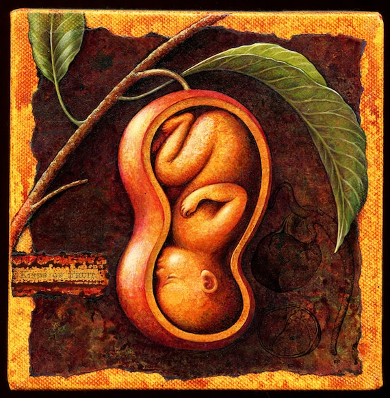 Fertility art print Fructus Womb fruit baby/ embryo surreal Etsy