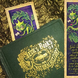 May include: A green book with gold lettering that reads "Cecil's Books of Natural History". A bookmark with a green creature reading a book is tucked into the book. The bookmark has a quote from Francis Bacon that reads "Some books are to be tasted, others to be swallowed, and some few are to be chewed and digested."