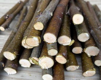Paquete de ramas de abedul