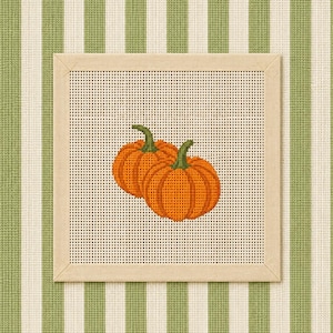 Op de afbeelding: Een vierkant borduurcanvas met twee oranje pompoenen met groene steeltjes, gecentreerd op een witte rasterachtergrond. Het canvas is omlijst door een lichtbeige stoffen rand, wat zorgt voor een strakke en gestructureerde uitstraling van dit project.
