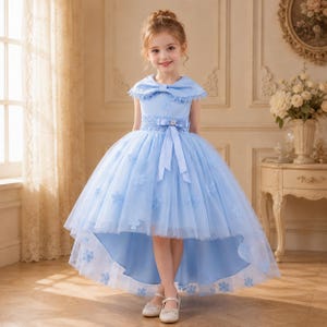 blue dress collar 1950s History of Prom, bundle Combined with the Dress Color:Ivory Dress With Champange Lining