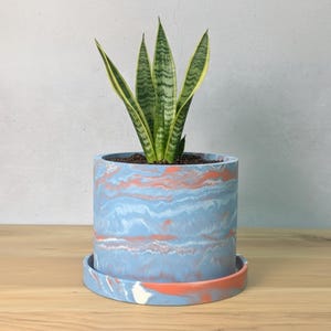 May include: A cylindrical planter with a marbled pattern in shades of light blue, coral, and white, resting on a matching circular saucer. A snake plant with green and yellow variegated sword-shaped leaves is planted inside the container.