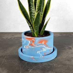 May include: A cylindrical light blue concrete planter with a matching circular saucer. The planter features a marbled pattern of orange and white swirls across its exterior surface. A tall snake plant with green and yellow leaves is potted inside.