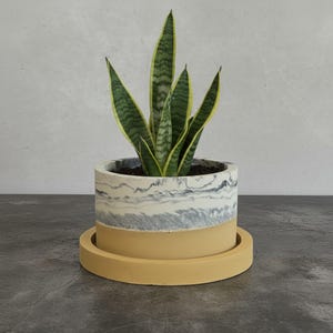May include: A cylindrical planter with a marbled white and grey upper section and a solid mustard yellow base, resting on a matching mustard yellow circular saucer, containing a green and yellow variegated snake plant with upright pointed leaves.