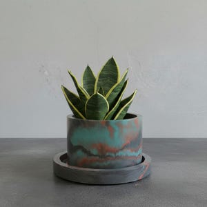 May include: A cylindrical concrete planter with a marbled finish in shades of teal, copper, and charcoal gray. The planter sits on a matching circular tray and contains a snake plant with dark green leaves featuring bright yellow edges.