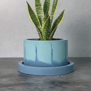 May include: A cylindrical light blue concrete planter with a darker blue gradient base and vertical streaks, resting on a matching circular saucer. A snake plant with green leaves and yellow edges grows from the center of the pot.