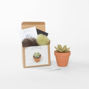 Needle Felting Kit. Succulent Kit. Succulent. Felt Craft Kit. DIY Needle Felting. Craft Gift. Craft Kit. image 1