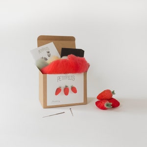Needle Felting Kit. Strawberry Felting Kit. Felt Craft Kit. DIY Needle Felting. Craft Gift. Craft Kit. image 1