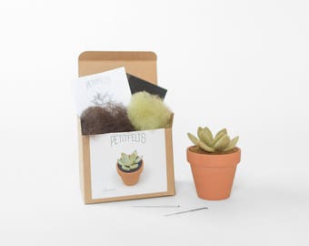 Needle Felting Kit. Succulent Kit. Succulent. Felt Craft Kit. DIY Needle Felting. Craft Gift. Craft Kit.