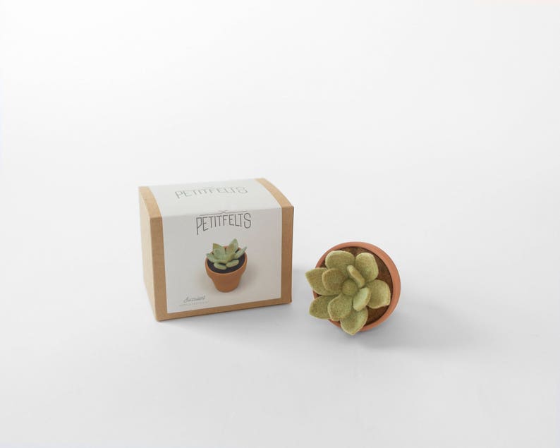 Needle Felting Kit. Succulent Kit. Succulent. Felt Craft Kit. DIY Needle Felting. Craft Gift. Craft Kit. afbeelding 2