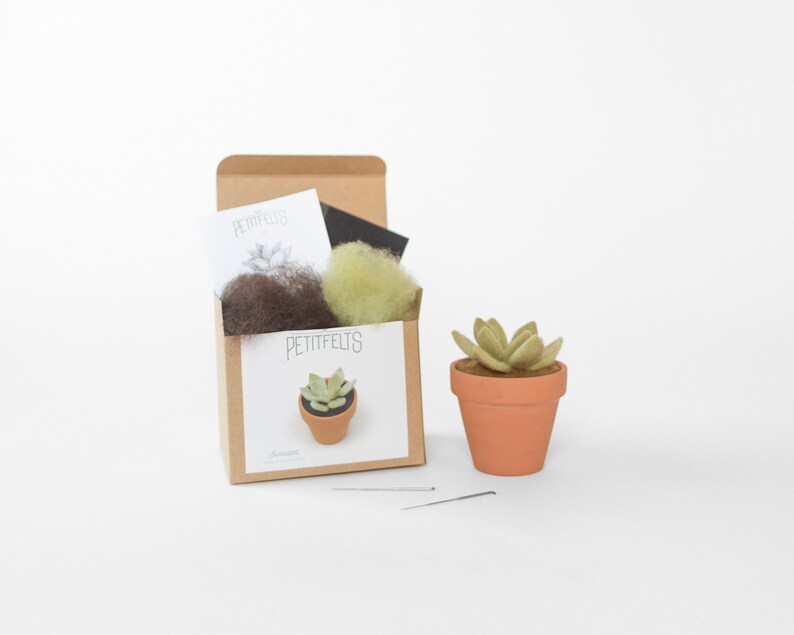 Needle Felting Kit. Succulent Kit. Succulent. Felt Craft Kit. DIY Needle Felting. Craft Gift. Craft Kit. afbeelding 1