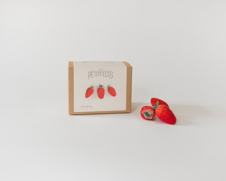 Needle Felting Kit. Strawberry Felting Kit. Felt Craft Kit. DIY Needle Felting. Craft Gift. Craft Kit. image 2