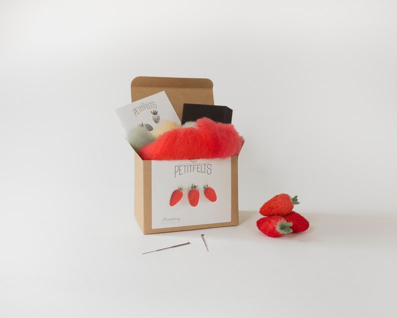 Needle Felting Kit. Strawberry Felting Kit. Felt Craft Kit. DIY Needle Felting. Craft Gift. Craft Kit. image 1