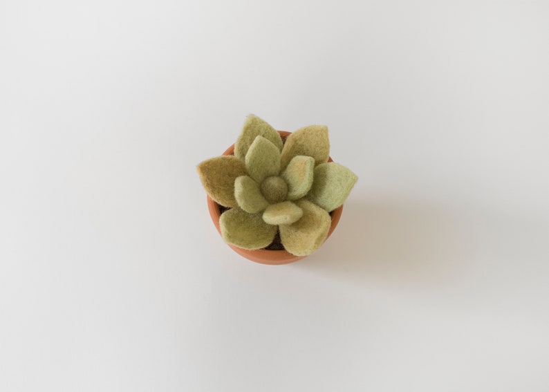 Needle Felting Kit. Succulent Kit. Succulent. Felt Craft Kit. DIY Needle Felting. Craft Gift. Craft Kit. image 3