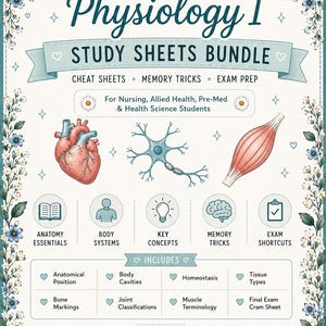 May include: A study guide titled The Cozy Nurse Anatomy & Physiology I Study Sheets Bundle featuring illustrations of a heart, a neuron, and a muscle. The document includes sections for anatomy essentials, body systems, key concepts, memory tricks, and exam shortcuts, decorated with floral borders.
