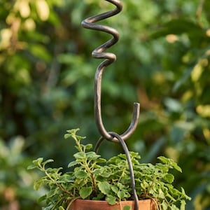 Handgeschmiedete Stahl Spirale Blumenampel | Rustikaler Schmiede Pflanzen Halter