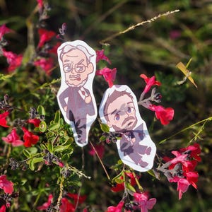 May include: Two cartoon stickers of men with facial hair, one with glasses, on a background of pink flowers.