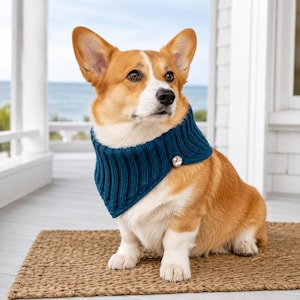May include: A Pembroke Welsh Corgi with tan and white fur wearing a dark teal ribbed knit pet bandana. The bandana features a vertical ribbed texture and is secured on the side with a single, round, clear faceted crystal-like decorative button.