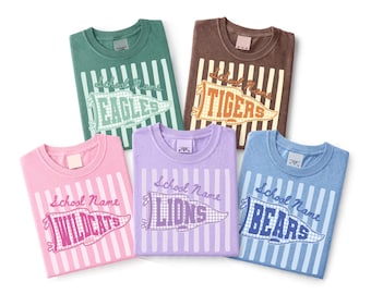 Op de afbeelding: Vijf T-shirts met ronde hals in groen, bruin, roze, lavendel en blauw. Elk shirt heeft een verticaal gestreepte achtergrond met een wimpelafbeelding met de tekst School Name en de teamnamen: EAGLES, TIGERS, WILDCATS, LIONS en BEARS.