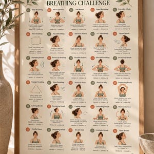 May include: A framed 30-day mindful breathing challenge poster featuring thirty numbered illustrations of breathing techniques. Each section includes a title, a descriptive graphic of a person, and specific instructions for inhalation and exhalation.