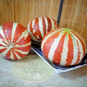 Könnte beinhalten: Drei gestreifte Melonen mit roten, weißen und grünen Streifen auf einem weißen und blauen Teller. Die Melonen liegen auf einer hellbraunen Oberfläche.